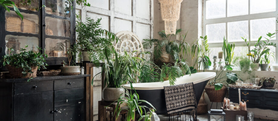 17 Beautiful Chandeliers to Suit Any Aesthetic