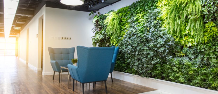 Embracing Nature: Illuminating Offices with Biophilic Design